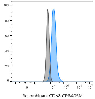 CD63 Recombinant Monoclonal Mouse Antibody (2304.63) - Biotium Choice <svg class="svgicon svg-verified"><use xlink:href="#svg-verified"></use></svg> - Image 6