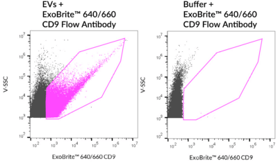 ExoBrite™ CD9 Flow Antibody - Image 6