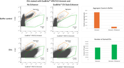 ExoBrite™ EV Stain Enhancer (100X) - Image 3