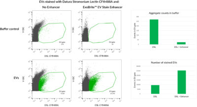 Datura Stramonium Lectin (DSL) Conjugates - Image 4