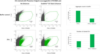 ExoBrite™ EV Stain Enhancer (100X) - Image 6