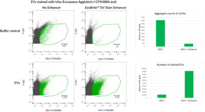 ExoBrite™ EV Stain Enhancer (100X) - Image 8