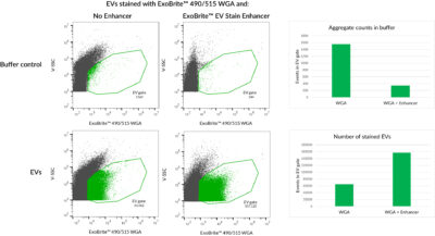 ExoBrite™ EV Stain Enhancer (100X) - Image 2