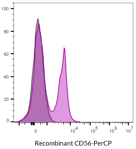CD56 (NCAM1) Recombinant Monoclonal Mouse Antibody (r5.1H11) - Biotium Choice <svg class="svgicon svg-verified"><use xlink:href="#svg-verified"></use></svg> - Image 9