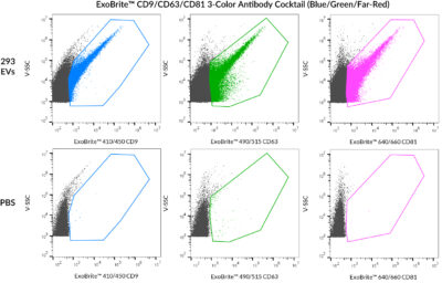 ExoBrite™ CD9/CD63/CD81 3-Color Antibody Cocktails - Image 2