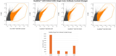 ExoBrite™ CD9/CD63/CD81 Single-Color Antibody Cocktails - Image 5