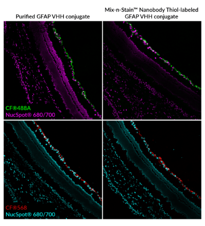 Mix-n-Stain™ Nanobody Thiol Labeling Kits - Image 3