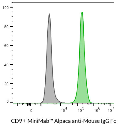Alpaca Anti-Mouse IgG1 (Fc), rVHH (N2504.M1FC) - MiniMab™<svg class="svgicon svg-verified"><use xlink:href="#svg-verified"></use></svg> - Image 4