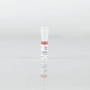 Cheetah™ PEA-PLEX HotStart Taq DNA Polymerase