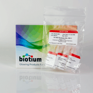 SUMO Protease Kit